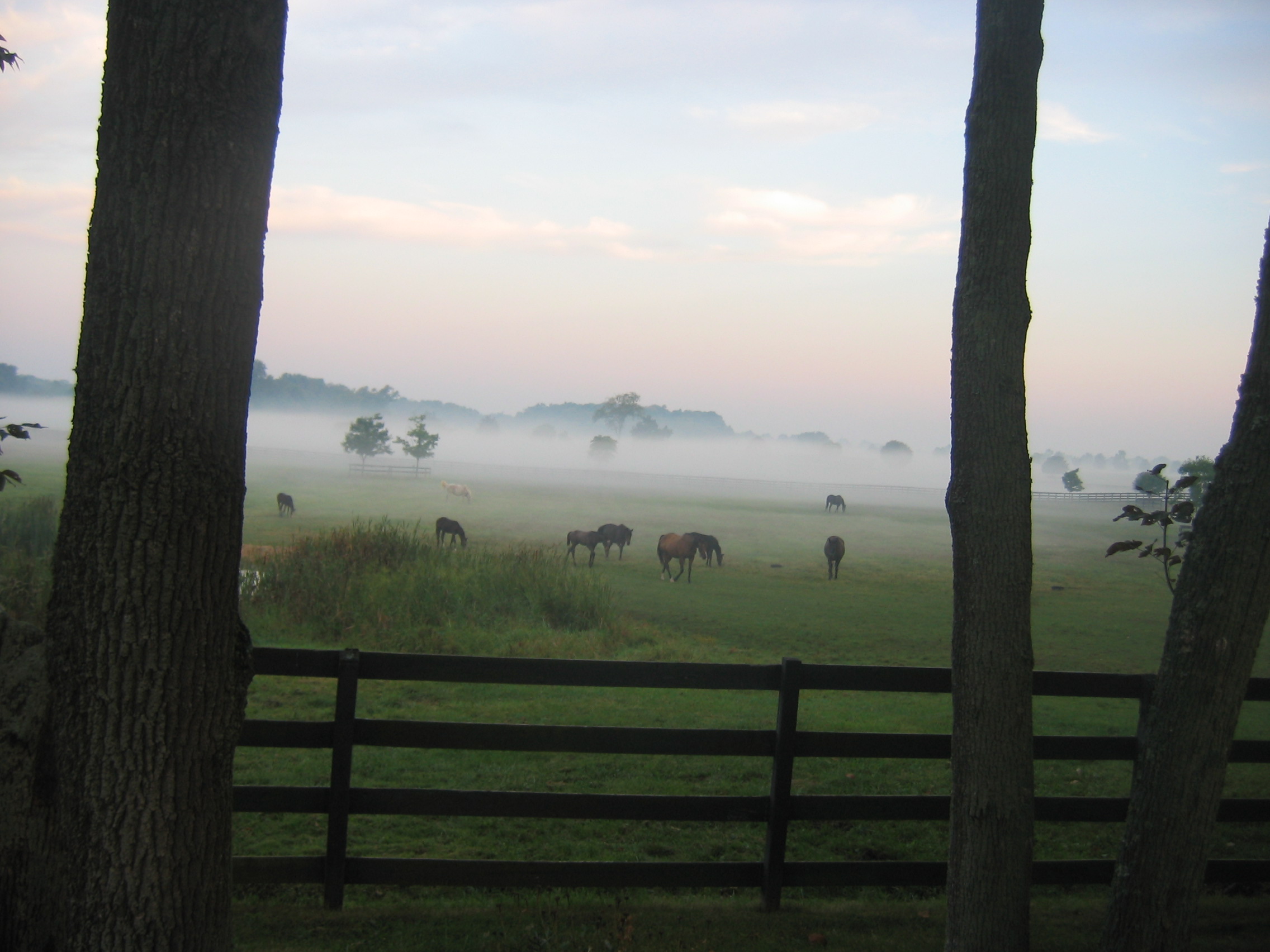 Photo Tour Bright View Farm