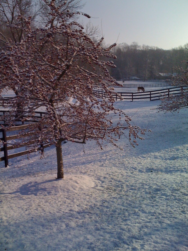Photo Tour Bright View Farm
