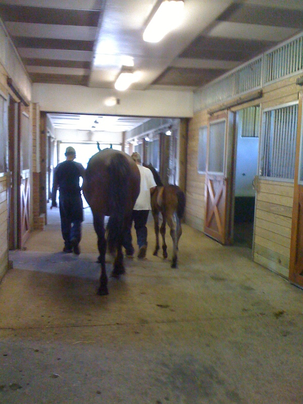 Photo Tour Bright View Farm