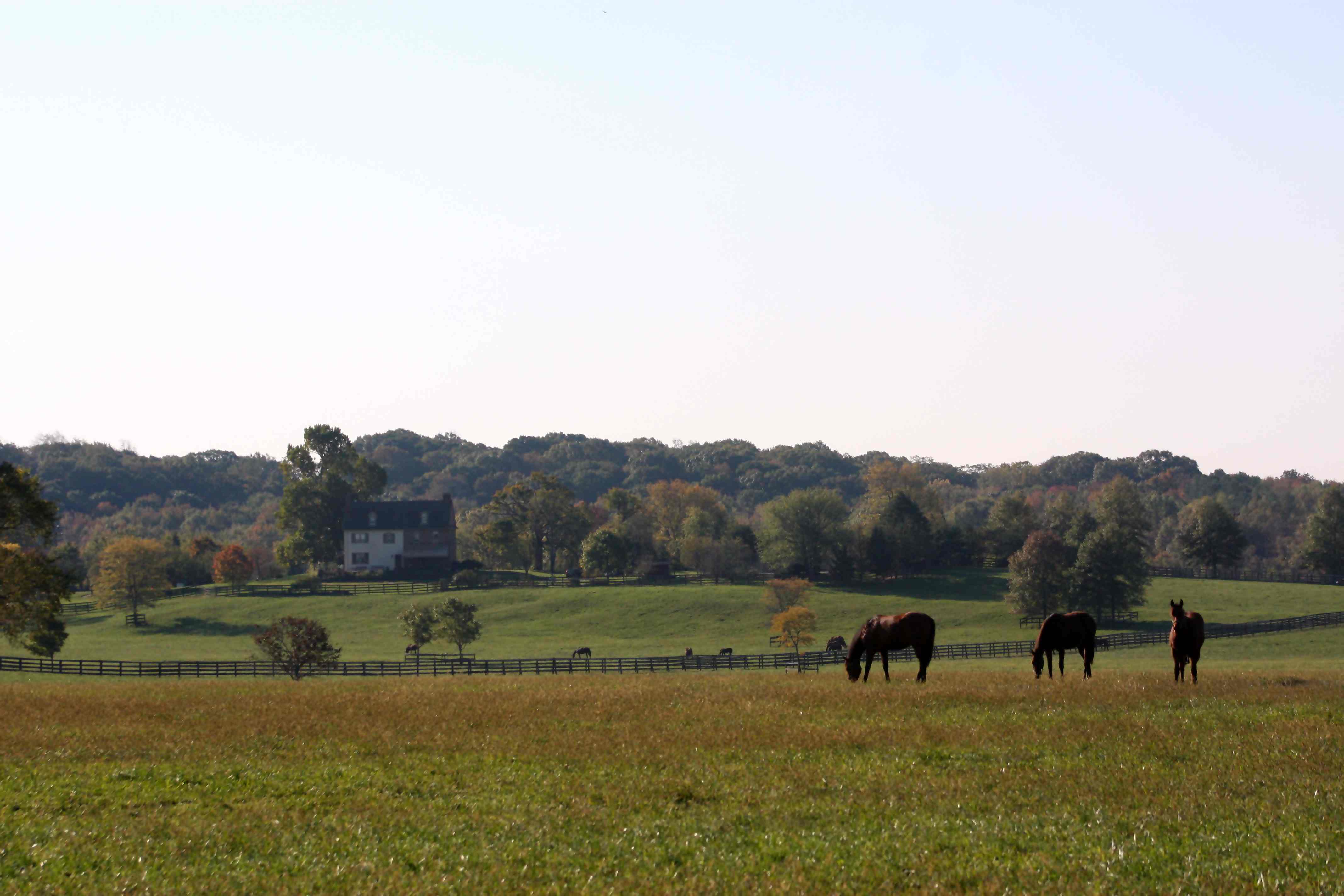 Photo Tour Bright View Farm