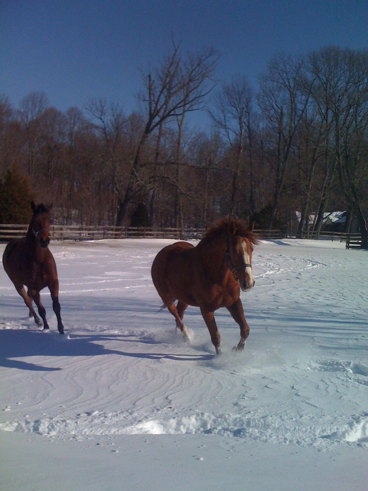 Photo Tour Bright View Farm