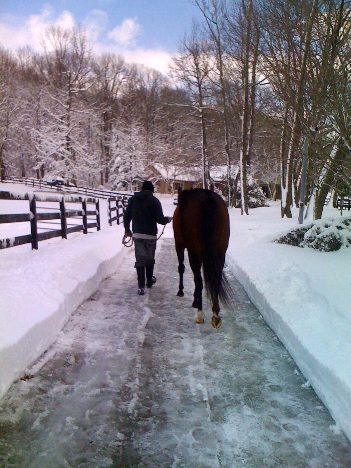 Photo Tour Bright View Farm
