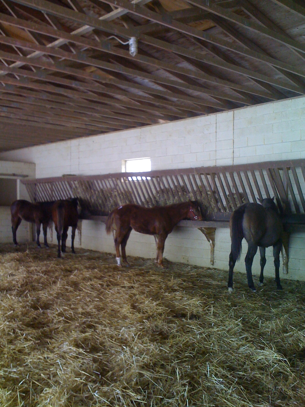 Photo Tour Bright View Farm