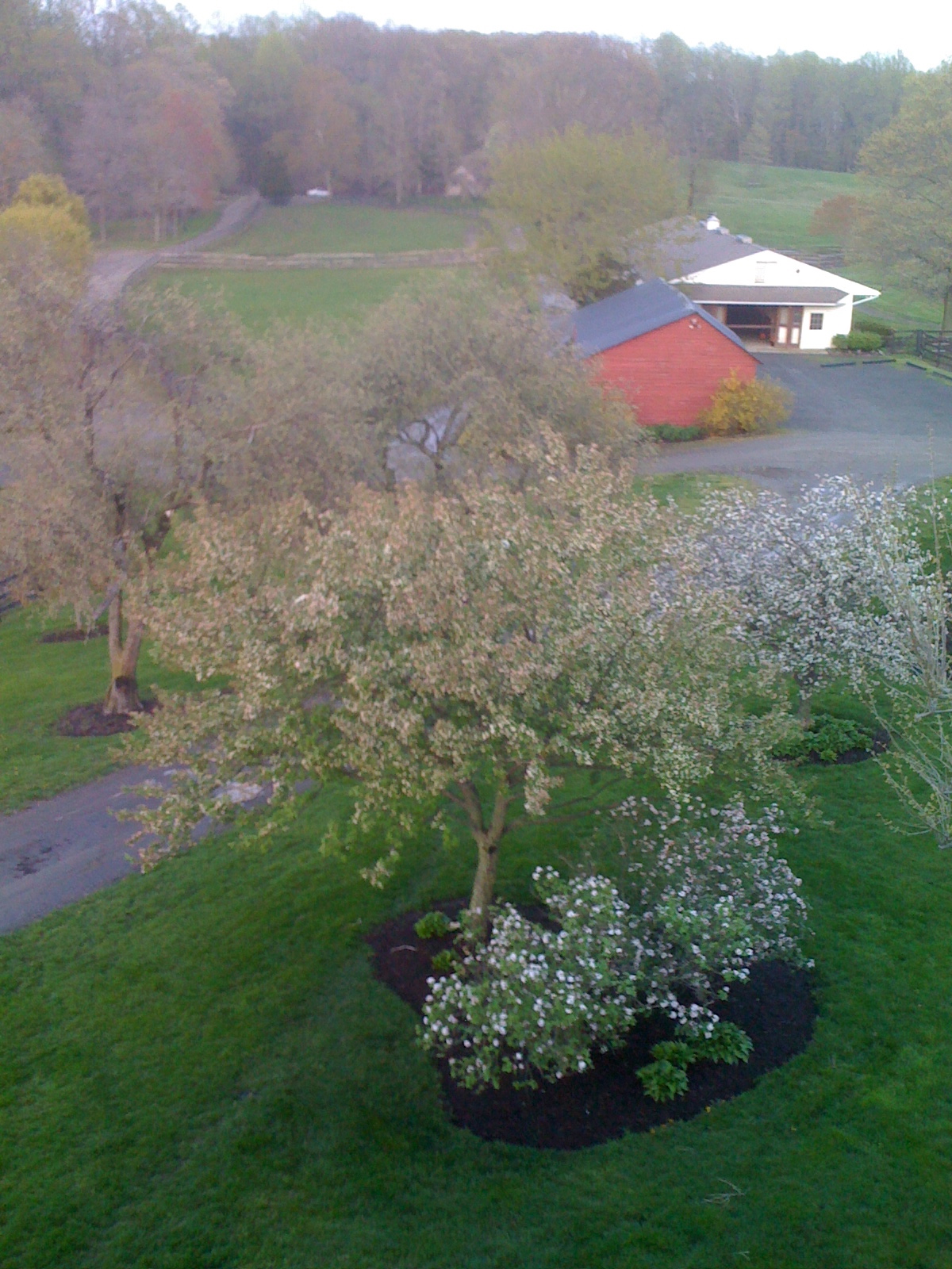 Photo Tour Bright View Farm