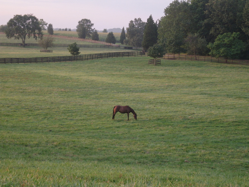 Photo Tour Bright View Farm