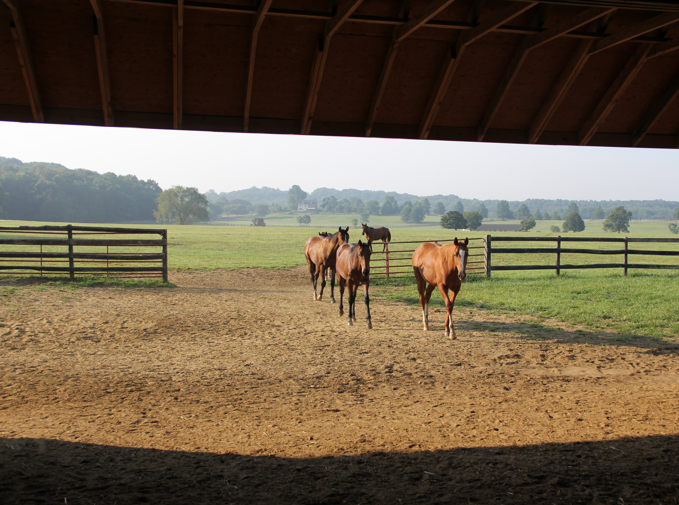 Photo Tour Bright View Farm