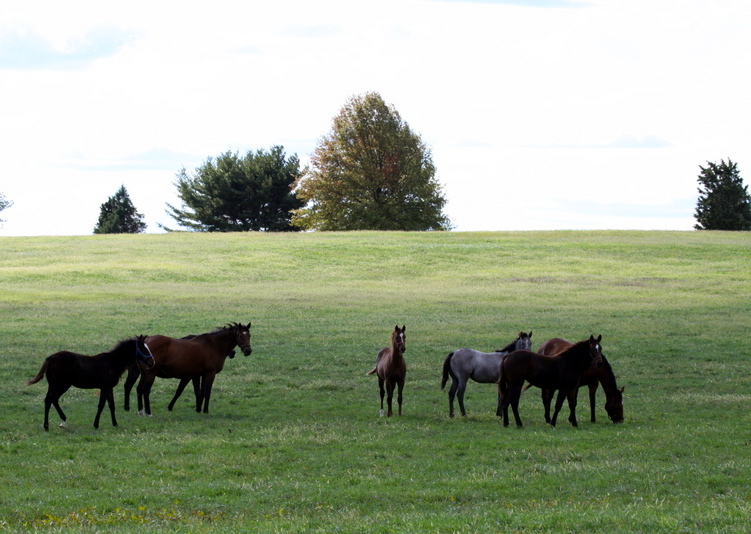Photo Tour Bright View Farm