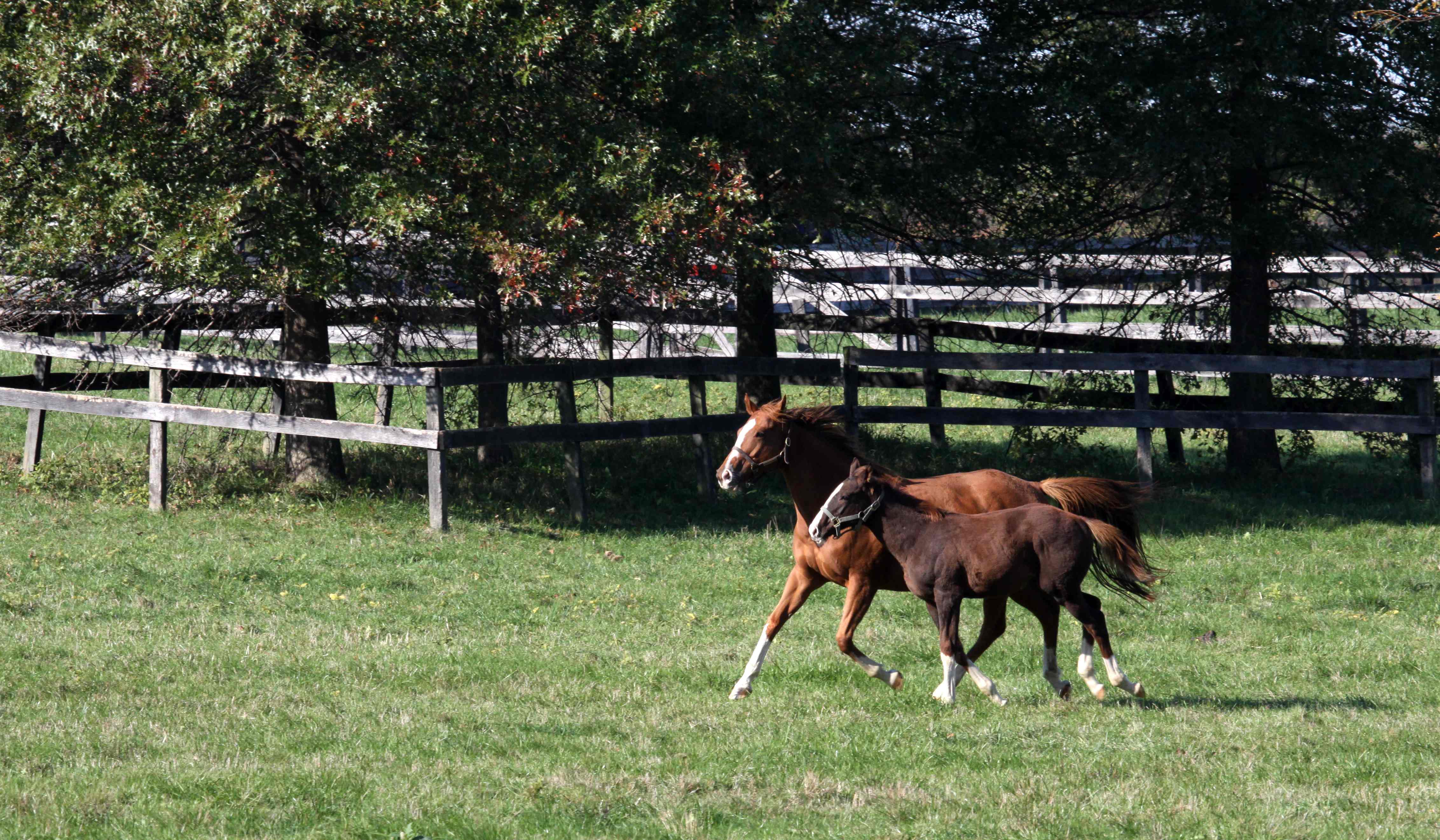 Photo Tour Bright View Farm